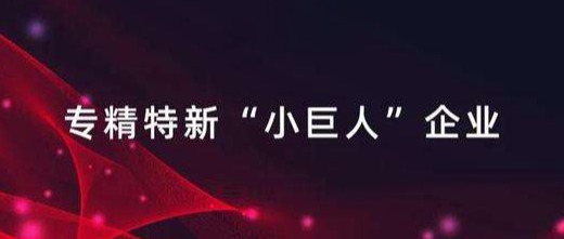 2022年“专精特新”企业申报最先，申报条件有哪些？