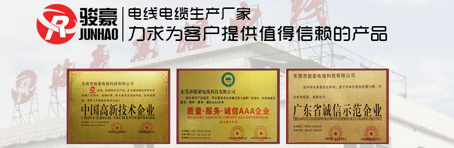 1-1P411113K0431 乐虎lehu电线荣誉证书展示