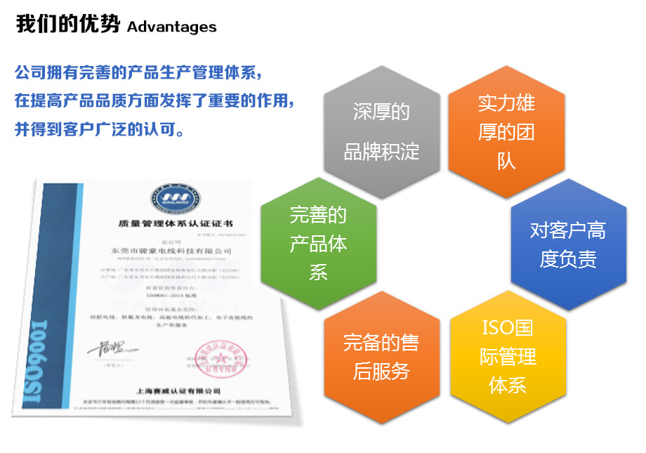 1-1Z110100943E4 乐虎lehu电线的优势